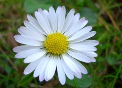 Tuhieuminh.blogspot.com TE1BBB1dovC3A0AnlE1BAA1c