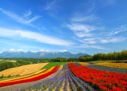 TE1BBB1hiE1BB83umC3ACnhsBlog Tuhieuminh.blogspot.com TE1BBB1tE1BAA1ilC3A0mE1BB99tquC3A1trC3ACnh