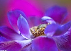 Có hai lộ trình TE1BBB1hiE1BB83umC3ACnhsBlog Tuhieuminh.blogspot.com CC3B3hailE1BB99trC3ACnh