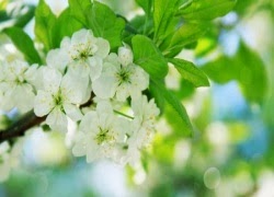 Liệu con người còn là vốn quý nhất? lieu con nguoi con la von quy nhat 859660159