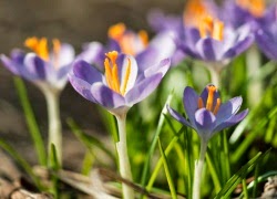 Cái chết có đáng sợ không? TE1BBB1hiE1BB83umC3ACnhsBlog Tuhieuminh.blogspot.com CC3A1ichE1BABFtcC3B3C491C3A1ngsE1BBA3khC3B4ng