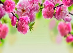 Thế giới: Dục vọng TE1BBB1hiE1BB83umC3ACnhsBlog Tuhieuminh.blogspot.com ThE1BABFgiE1BB9BiDE1BBA5cvE1BB8Dng
